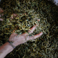 Tea Club - Season 2, Chapter 4: Red Tea 红茶