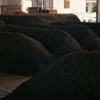 2024 Naka Shu Pu'er tea: Cha Tou 茶头