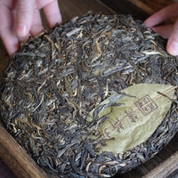 2020 Bohetang Shengpu 薄荷塘 - Yiwu Terroir - Eastern Leaves