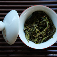 Youle mountain Pu'er shengpu in forest in pressed cake, from Yunnan, China, 2021 spring harvest vintage, sustainable