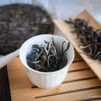 Pu'er shengpu blend in forest in pressed cake, from Yunnan, China, 2021 spring harvest vintage, Mangfei, Mannuo, Zhengkang