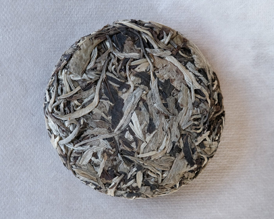 2021 Ancient Trees Yueguangbai, Stone - pressed cake - Eastern Leaves