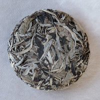 2021 Ancient Trees Yueguangbai, Stone - pressed cake - Eastern Leaves