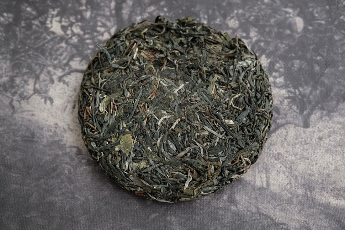2024 Pu'er Shengpu, Ancient Trees Stone - pressed cake - Eastern Leaves