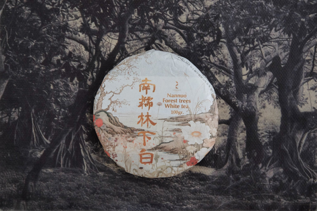 2024 Yueguangbai White Tea, Wild Forest stone - pressed cake - Eastern Leaves