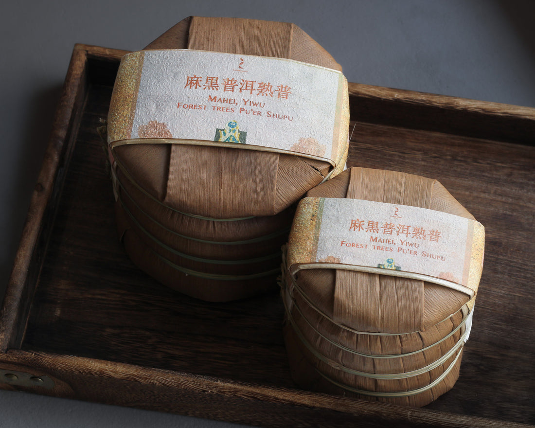 Pu'er Shu di Mahei 2024 - Terroir di Yiwu, Tè di foresta