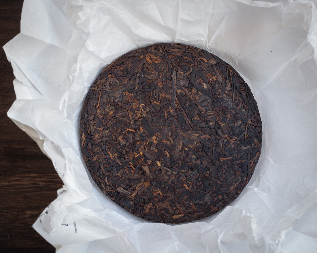 Pu'er Shu di Mahei 2024 - Terroir di Yiwu, Tè di foresta