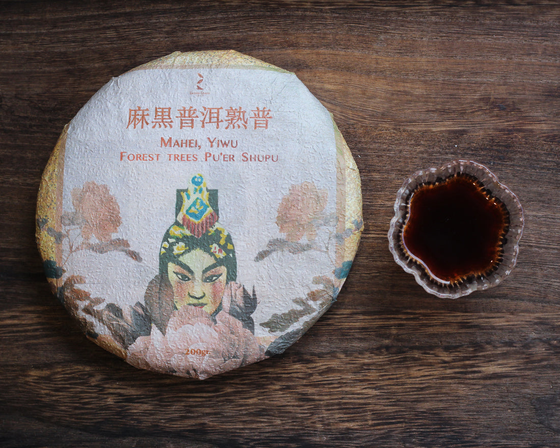 Pu'er Shu di Mahei 2024 - Terroir di Yiwu, Tè di foresta