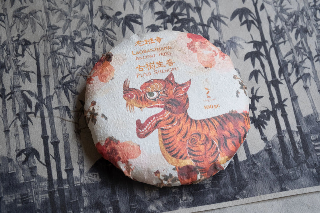 Pu'er Kings and Queens - Laobanzhang and Yiwu Tastebox