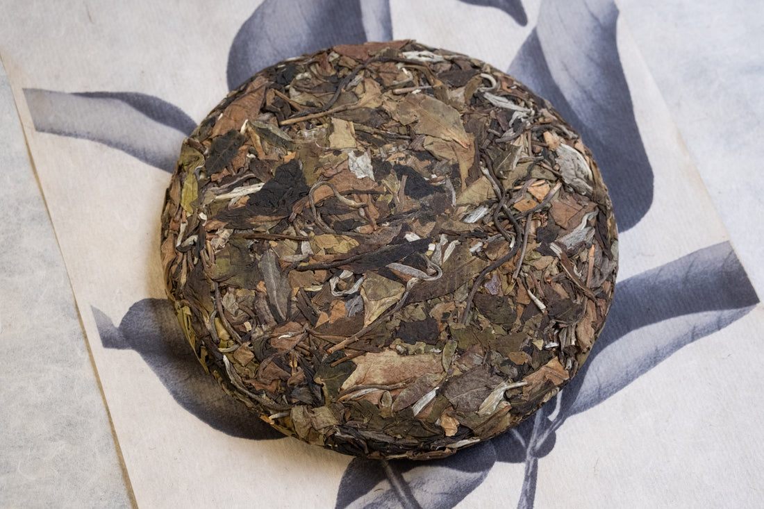 2025 Nannuo Yueguangbai White Tea, Wild Forest stone - pressed Cake - Eastern Leaves