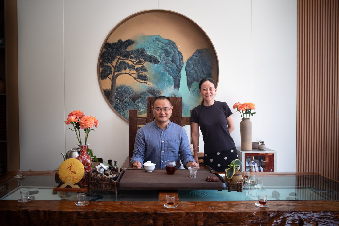 Pu'er Shu di Mahei 2024 - Terroir di Yiwu, Tè di foresta