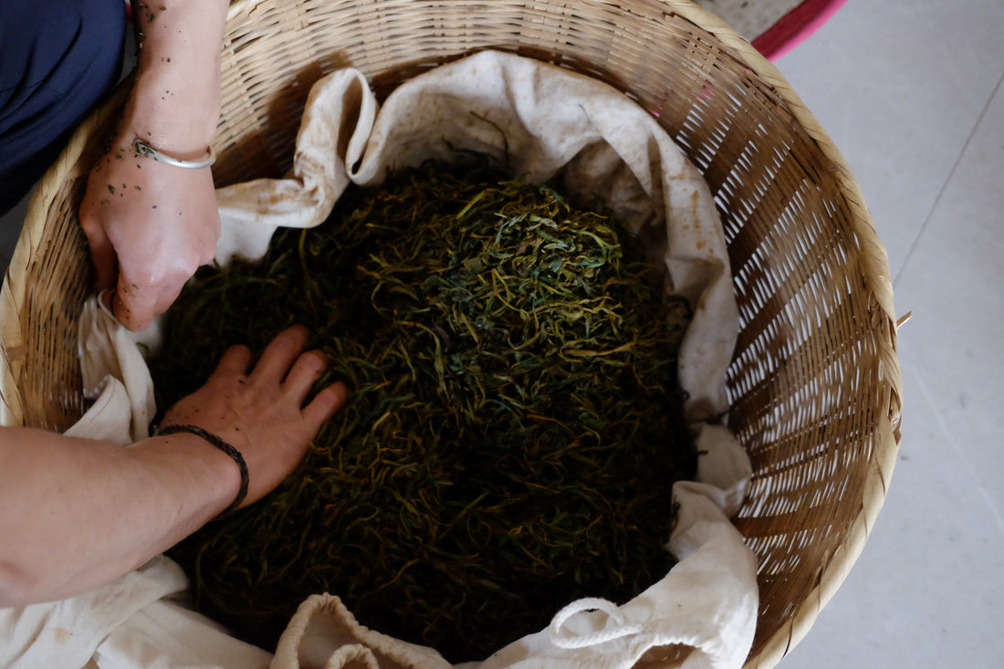 Tea Club - Season 2, Chapter 4: Red Tea 红茶