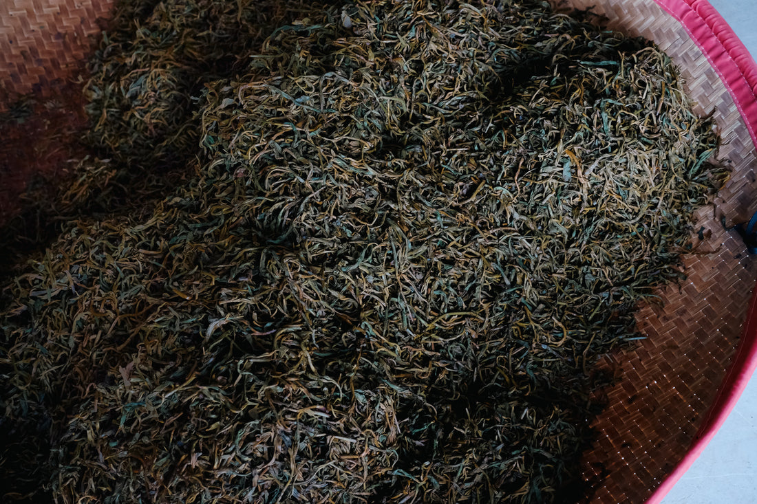 Tea Club - Season 2, Chapter 4: Red Tea 红茶