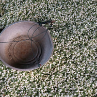 Bouquets and Teas: The Art of Flowers. Milan, September 25th 4-5 pm