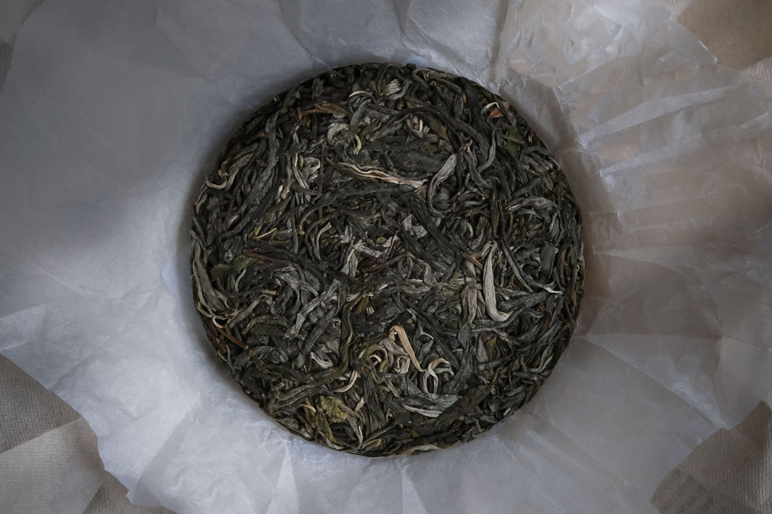 2023 Pu'er Shengpu, Ancient Trees Stone-pressed cake - Eastern Leaves, Yunnan, premium, handcrafted, farmer