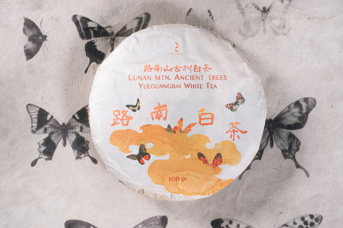 2026 Yueguangbai White Tea, Ancient Tree Stone-pressed cake