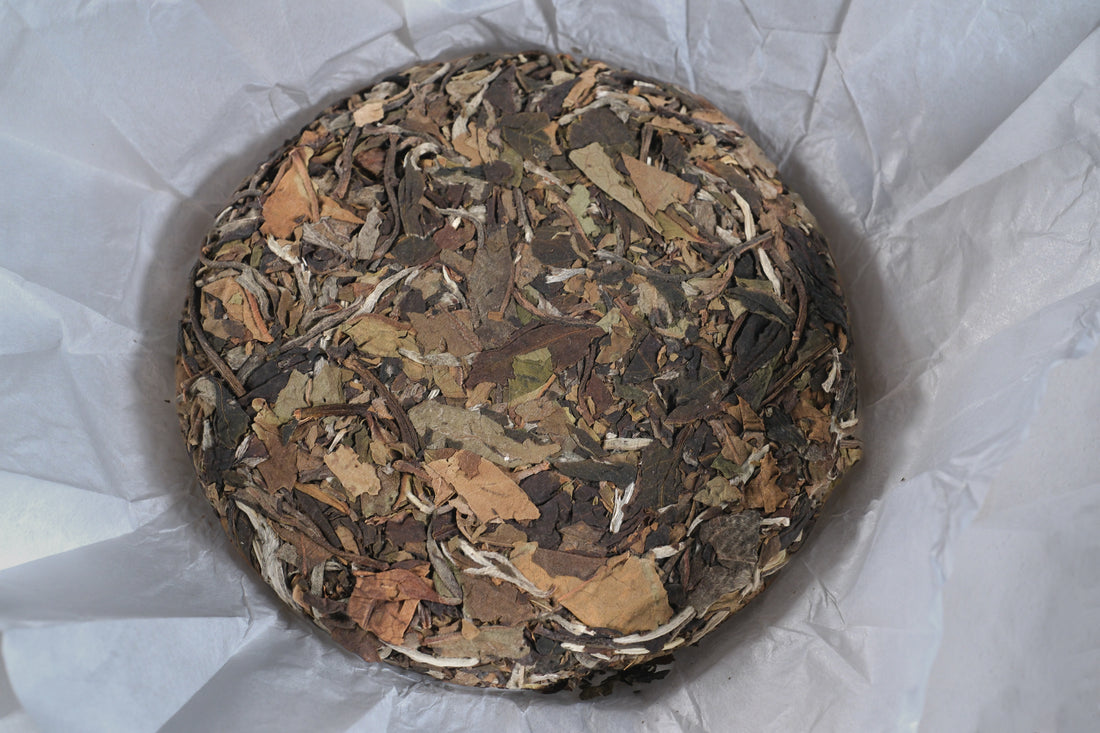 2026 Yueguangbai White Tea, Ancient Tree Stone-pressed cake