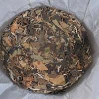2026 Yueguangbai White Tea, Ancient Tree Stone-pressed cake