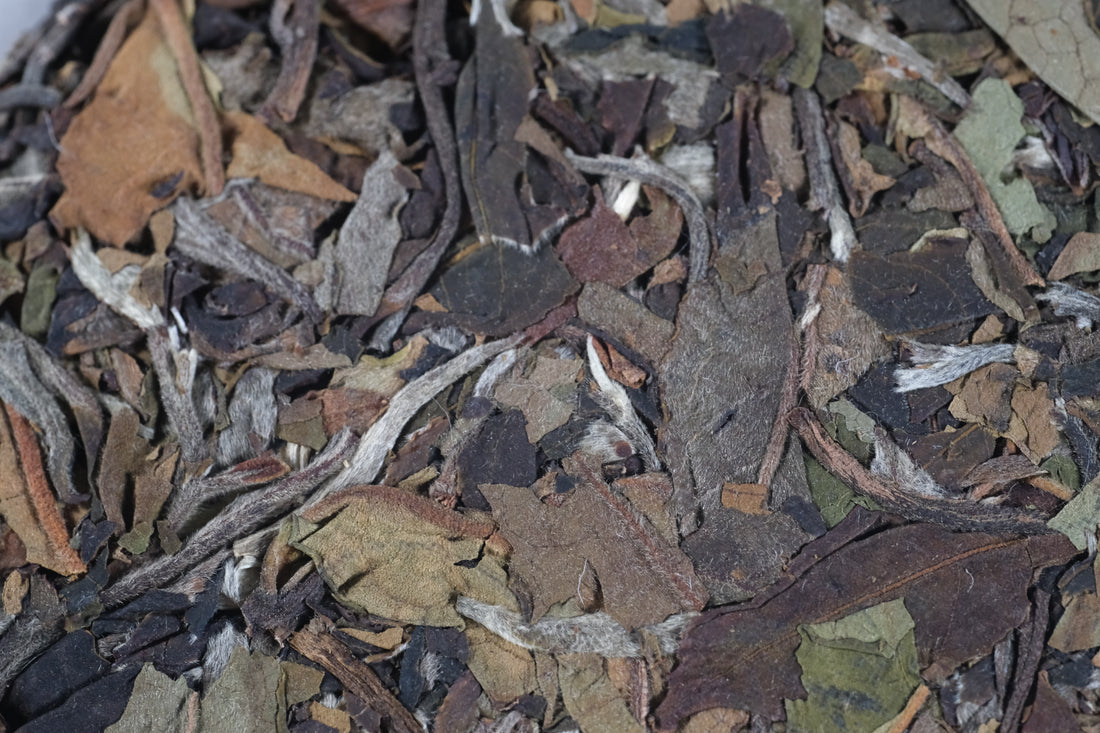 2026 Yueguangbai White Tea, Ancient Tree Stone-pressed cake