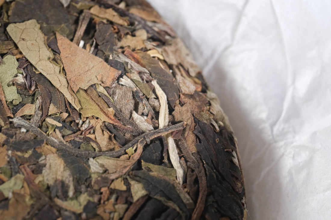 2026 Yueguangbai White Tea, Ancient Tree Stone-pressed cake