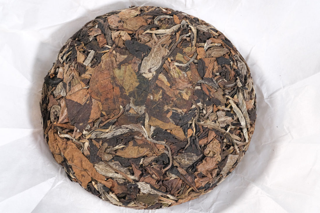 2026 Nannuo Yueguangbai White Tea, Wild Forest stone-pressed Cake