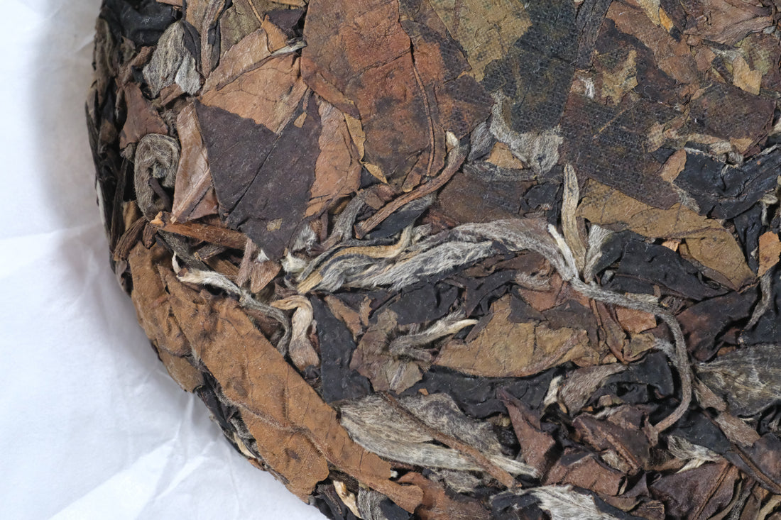 2026 Nannuo Yueguangbai White Tea, Wild Forest stone-pressed Cake
