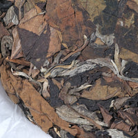 2026 Nannuo Yueguangbai White Tea, Wild Forest stone-pressed Cake