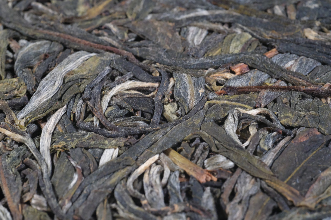 2026 Lunan Sheng Pu'er, Ancient Trees Stone-pressed cake