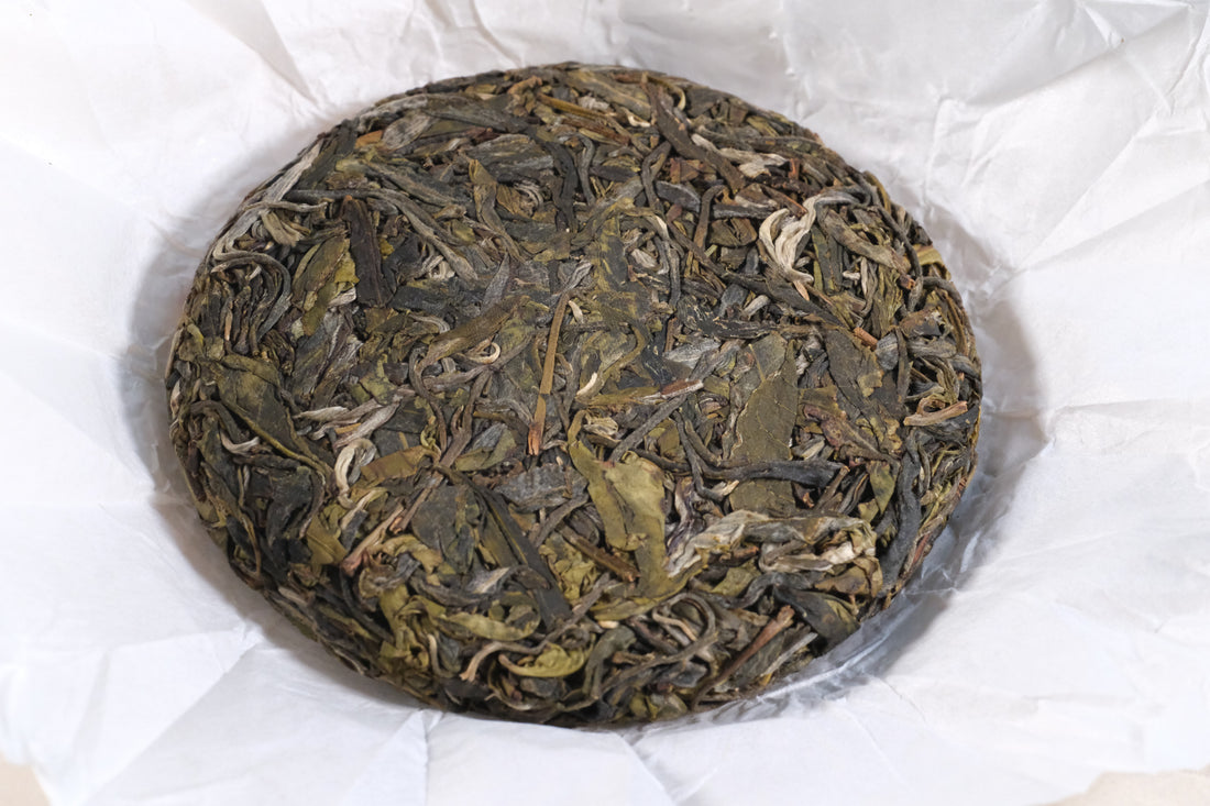 2026 Nannuo Sheng Pu'er, Wild Forest Stone-pressed cake