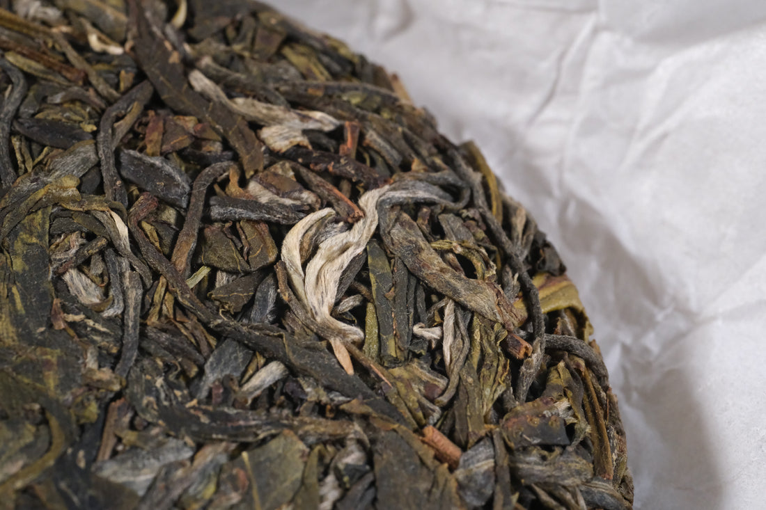 2026 Nannuo Sheng Pu'er, Wild Forest Stone-pressed cake