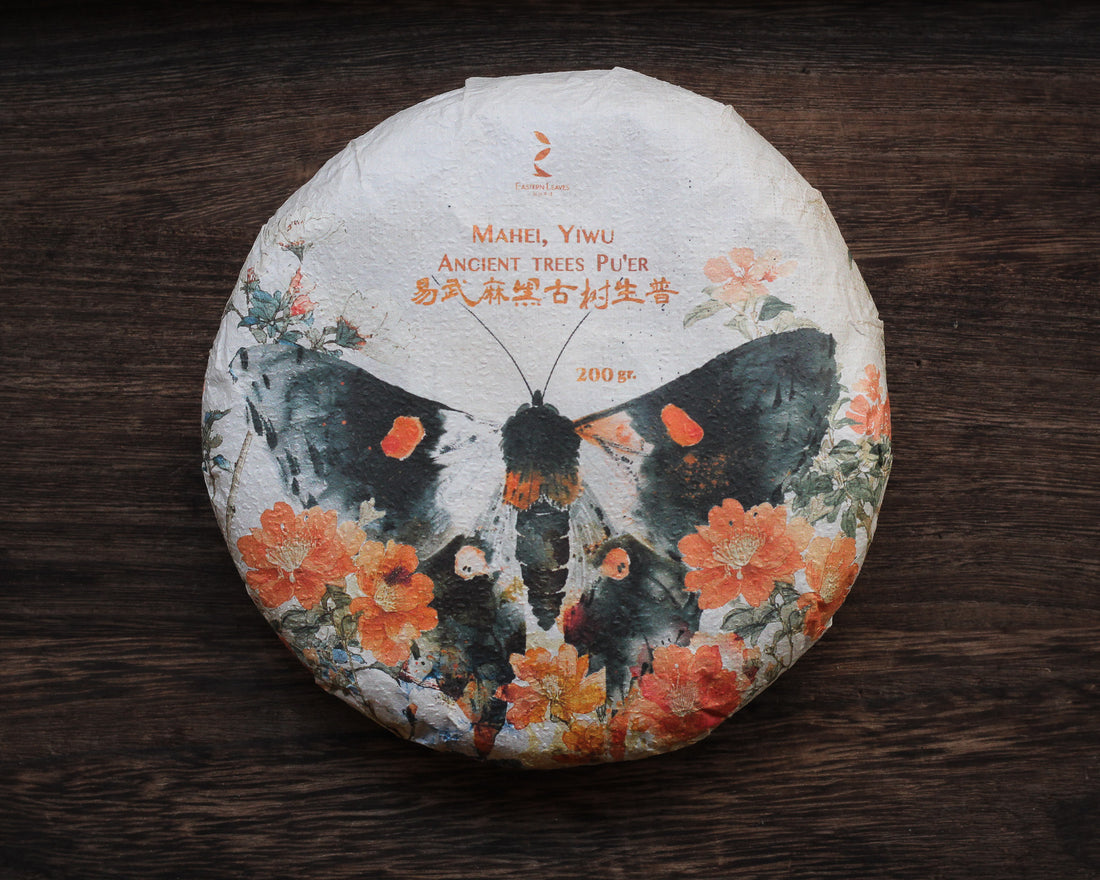 Le Sei Antiche Montagne 古六大茶山 - Tè Pu'er Sheng di primavera 2025