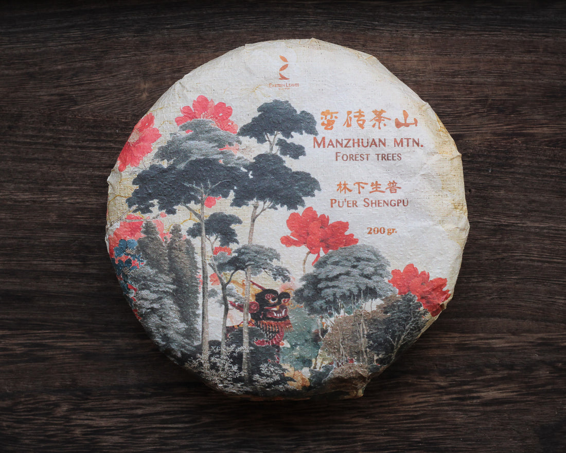 Le Sei Antiche Montagne 古六大茶山 - Tè Pu'er Sheng di primavera 2025
