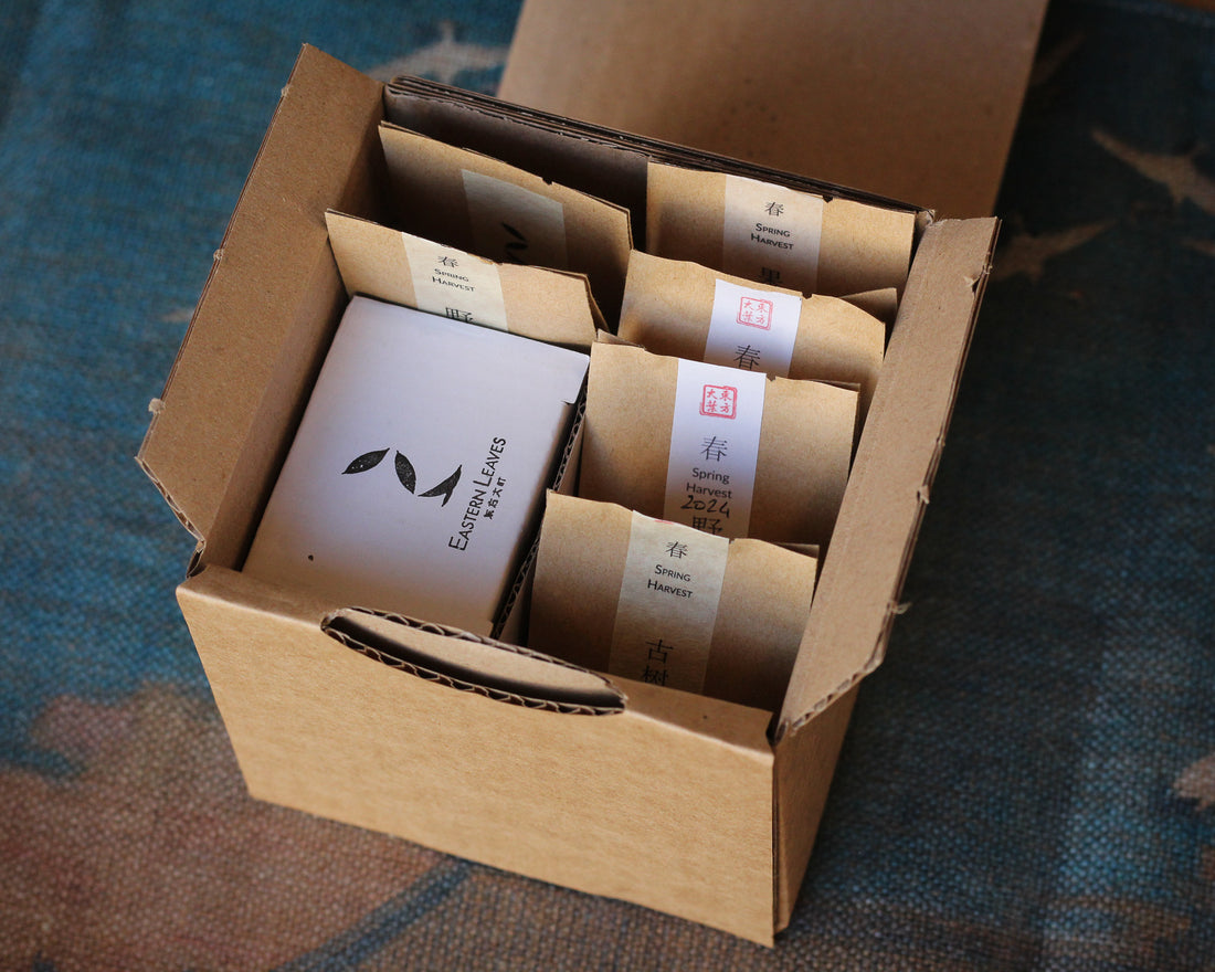 Tastebox: Summer Study Tour, August 2026