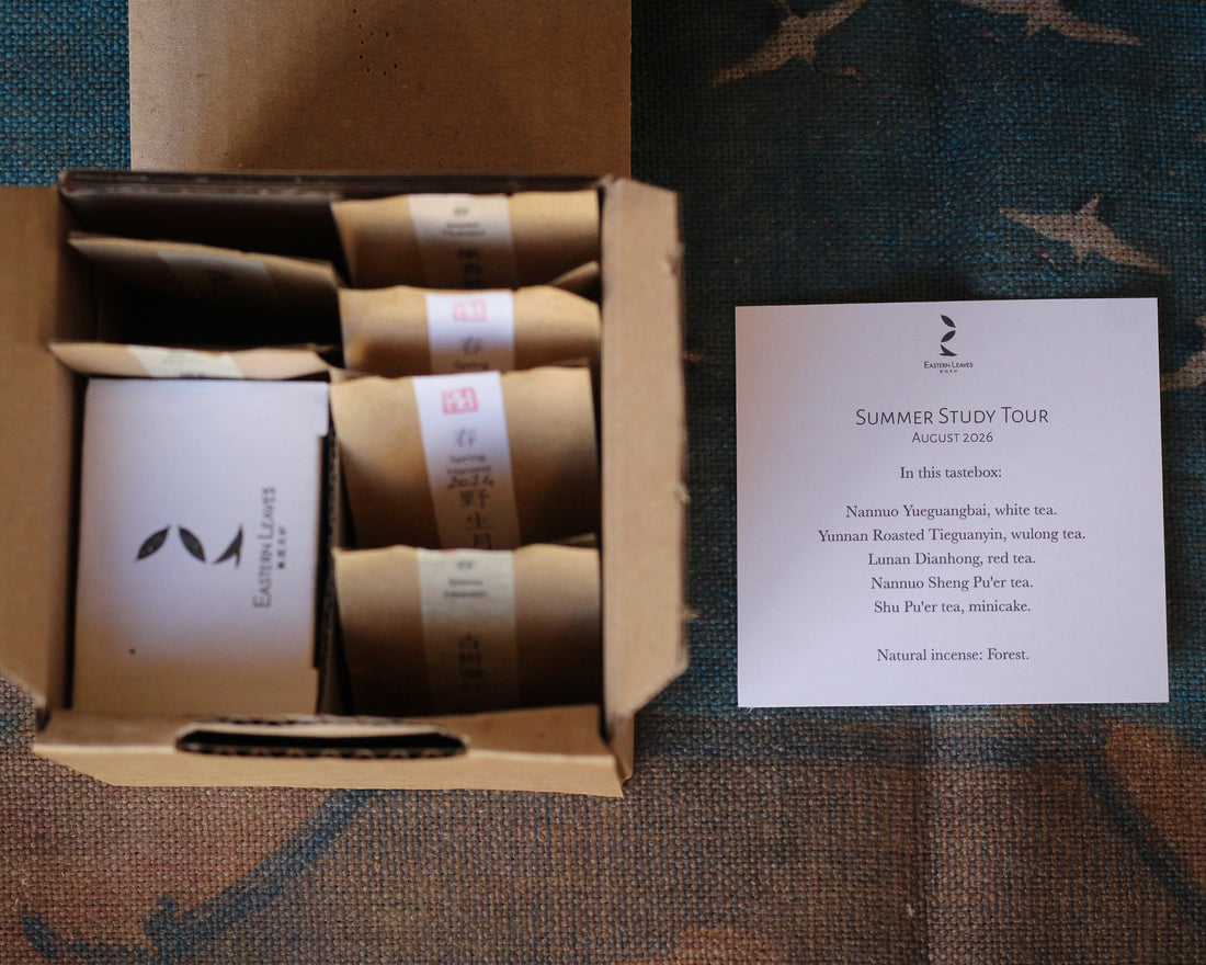 Tastebox: Summer Study Tour, August 2026