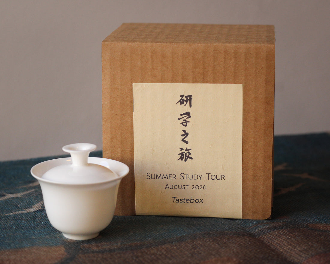Tastebox: Summer Study Tour, August 2026