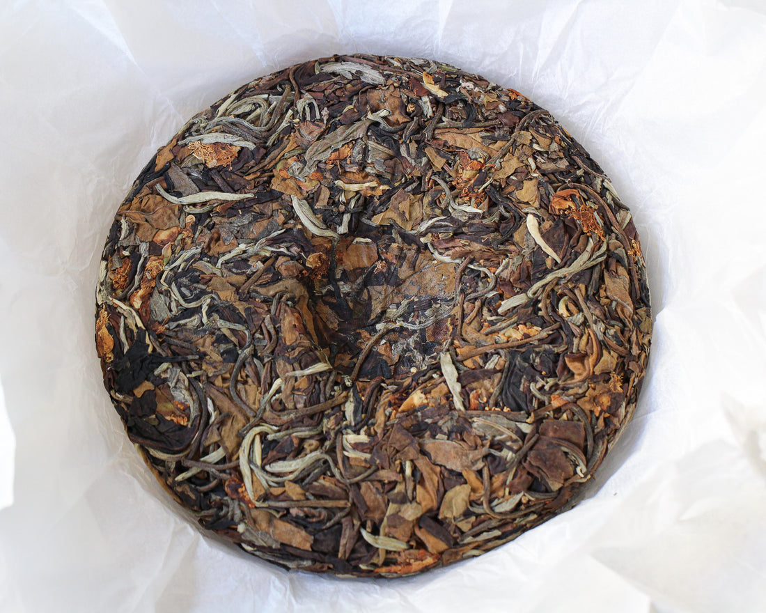 2025 Nannuo Yueguangbai white tea with Tea Flowers, Wild Forest stone-pressed Cake