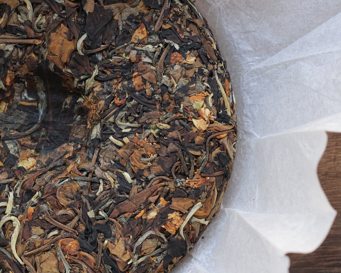2025 Nannuo Yueguangbai white tea with Tea Flowers, Wild Forest stone-pressed Cake