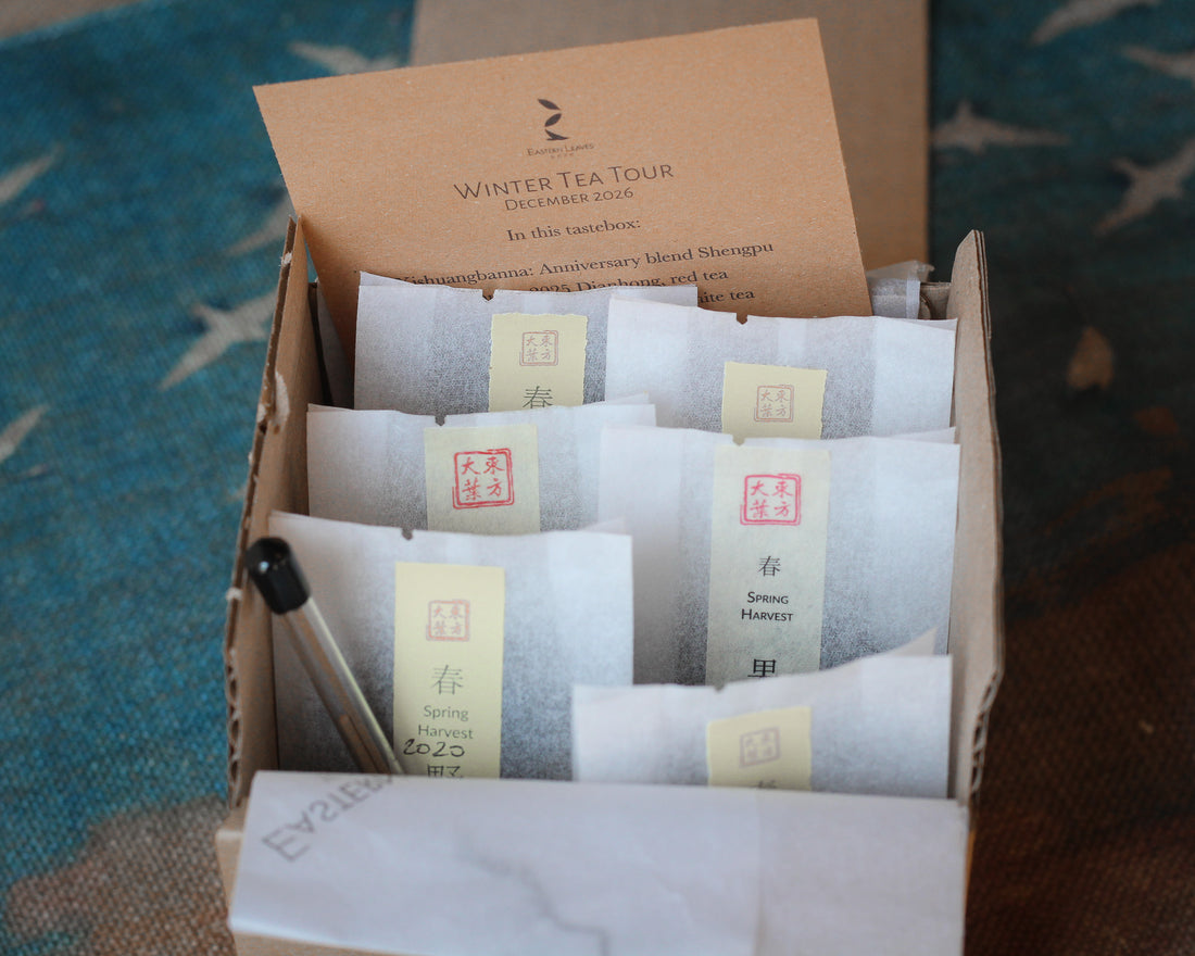 Tastebox: Winter Tour, December 2026