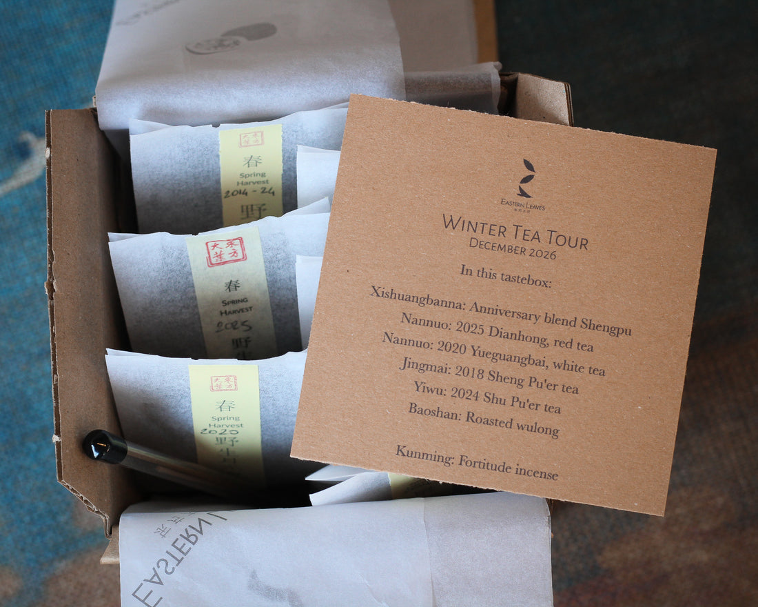 Tastebox: Winter Tour, December 2026