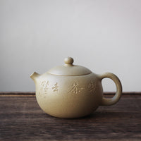 Xishi 西施 - Teiera Yixing in argilla verde Benshanluni 