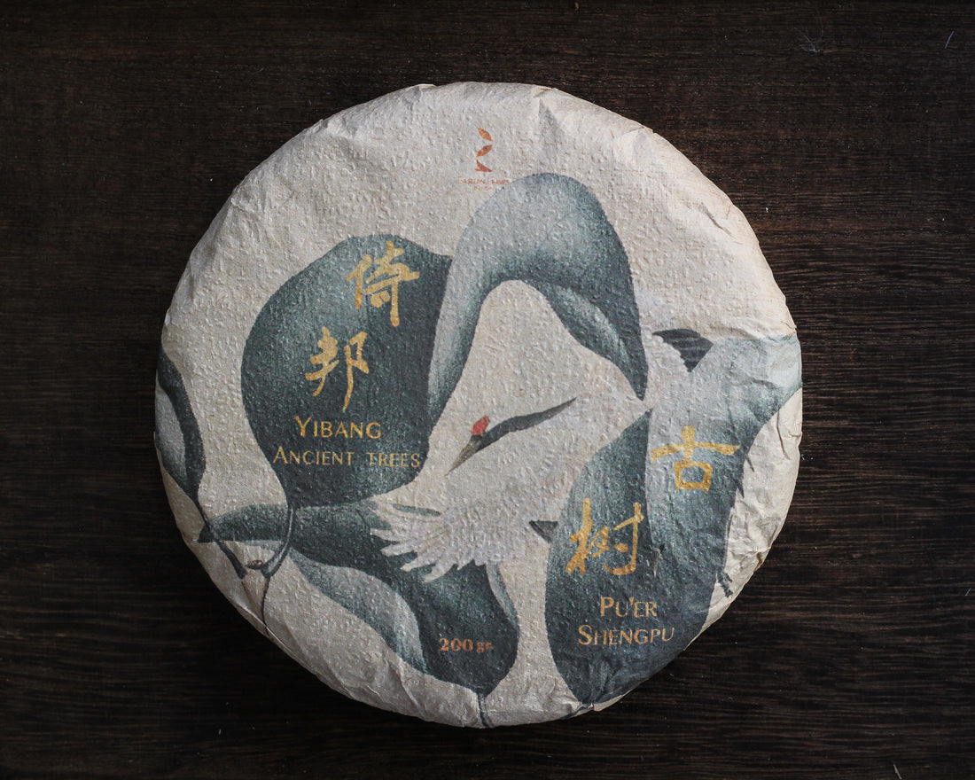2025 Yibang Sheng Pu'er, Ancient Trees Stone-pressed cake
