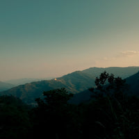 Eastern Tea Club, Chapter 3: Six Ancient Tea Mountains 古六大茶山 - Eastern Leaves