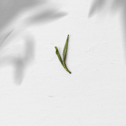 Huangshan Maofeng 黄山毛峰 - Green Tea - Eastern Leaves