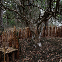 Tea Club - Season 2, Chapter 1: Shupu 熟普洱 - Eastern Leaves