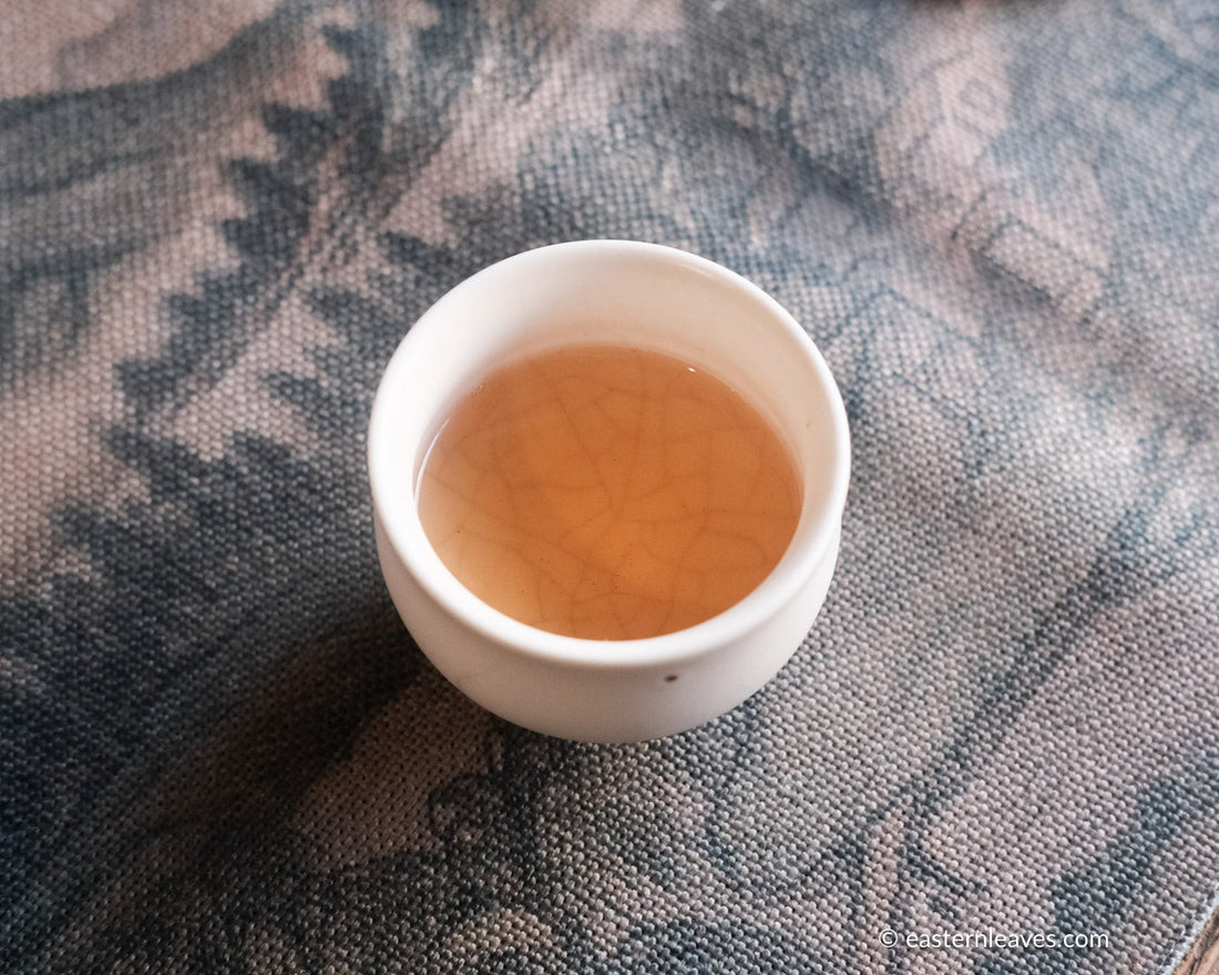 pu'er shengpu tea cake and brick from nannuo mountain, Yunnan, 2008 harvest vintage aged, brewed in white ceramic cup