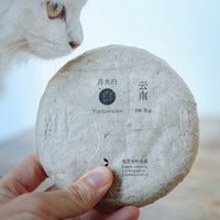 Chinese white tea aged Yueguangbai moonlight from Yunnan, pressed cake from organic forest
