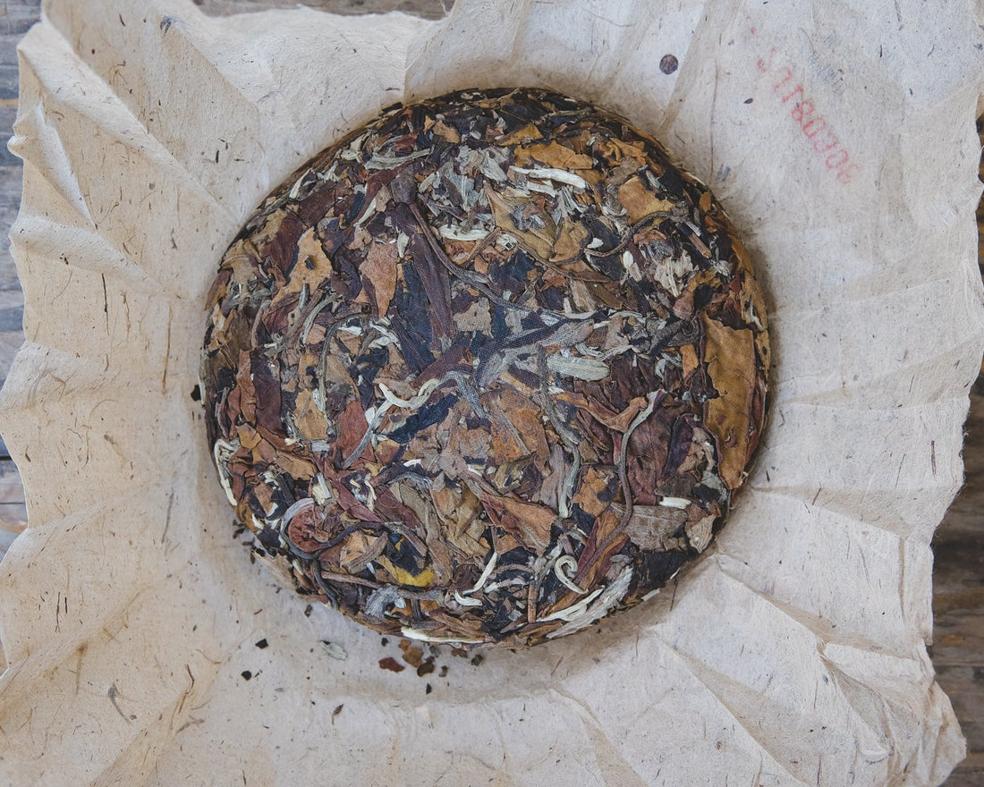 Chinese white tea Yueguangbai moonlight from Yunnan, pressed cake from organic forest, leaf detail