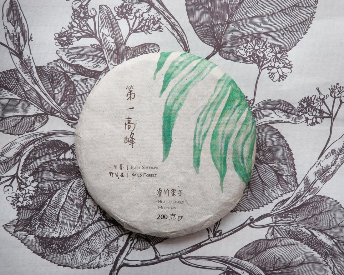 2019 Huazhuliangzi Sheng Pu'er, Wild Forest Stone-pressed Cake - Eastern Leaves