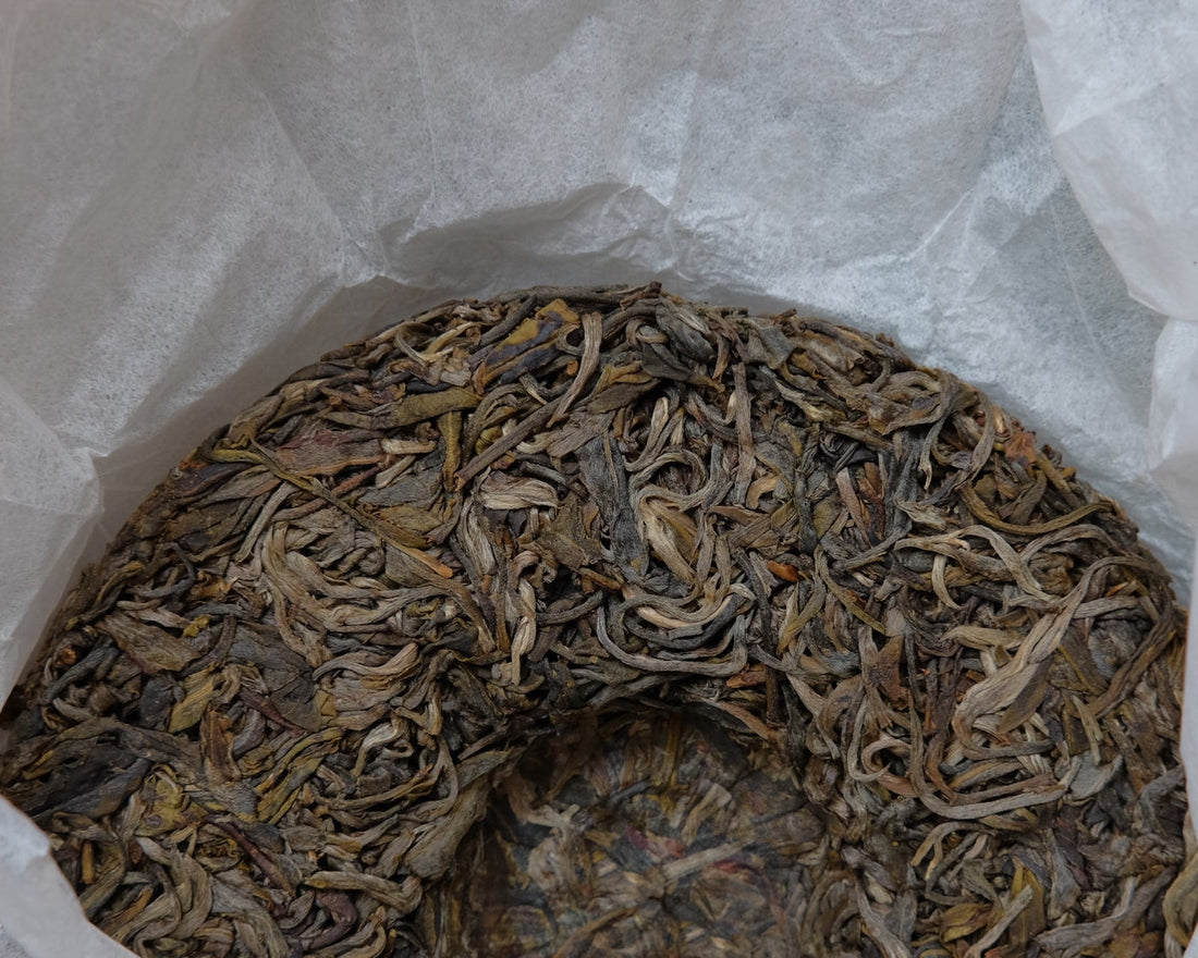 2019 Huazhuliangzi Sheng Pu'er, Wild Forest Stone-pressed Cake - Eastern Leaves