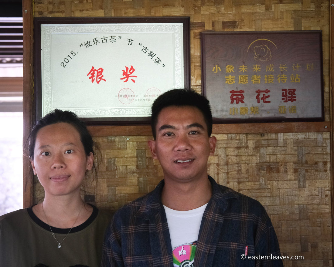 2019 Youle, Pu'er Shengpu - 200gr. Stone-pressed Cake - Eastern Leaves